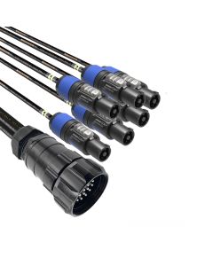 19 Pole Male Breakouts to 6 X Powercon Output 1m